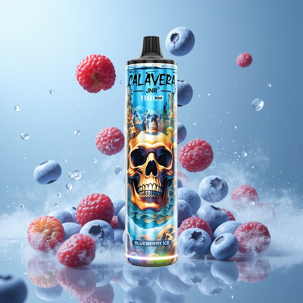 JNR Calavera 11000 Puffs Disposable Vape Blueberry Ice Type-C 850mAh 21ml 1.0ohm