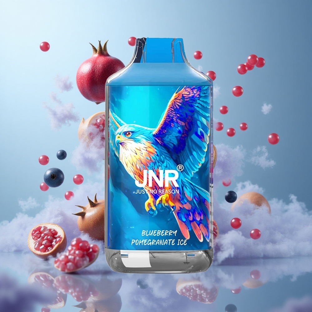 JNR Falcon 16000 Puffs 22ml Dual Mesh Blueberry Pomegranate Ice Type C LED