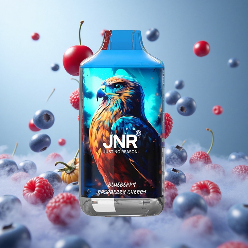 JNR Falcon 16000 Puffs Blueberry Raspberry Cherry 850mAh 22ml Dual Mesh Coil Type C LED 0% 2% Nicotine Nicotine
