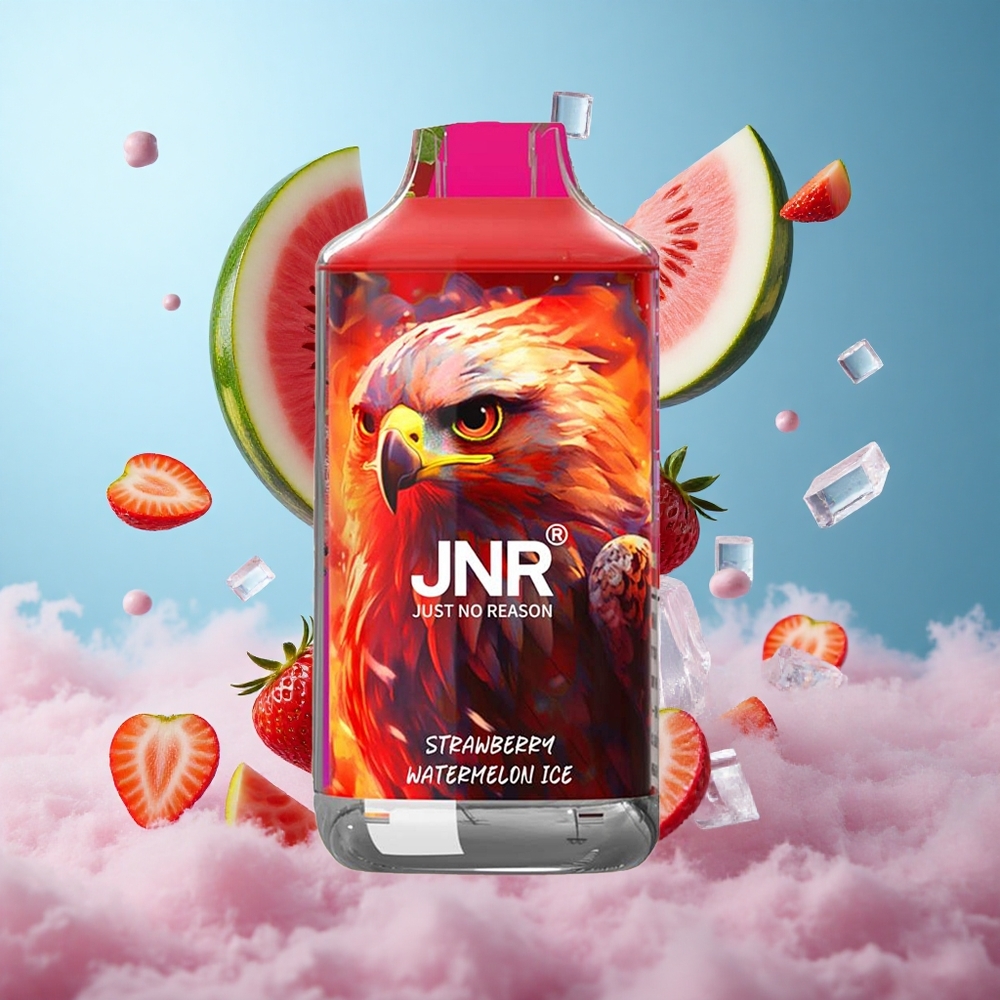 JNR Falcon 16000 Puffs Strawberry Watermelon Ice 850mAh 22ml Dual Mesh Type C LED 0% 2% Nicotine