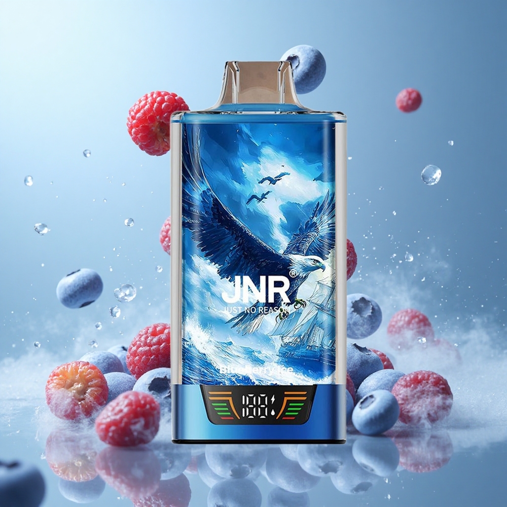 JNR Falcon Pro 28000 30ml 950mAh Dual Mesh Blueberry Ice Disposable Vape