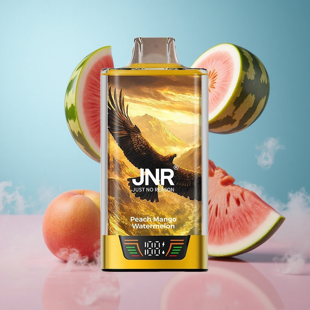 JNR Falcon Pro 28000 Disposable 30ml Peach Mango Watermelon MTL Dual Mesh USB-C