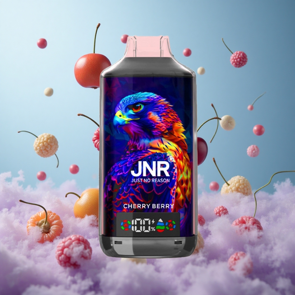 JNR Falcon X 18000 Puffs 24ml 750mAh Cherry Berry Dual Mesh Coil Type-C Quick Charge