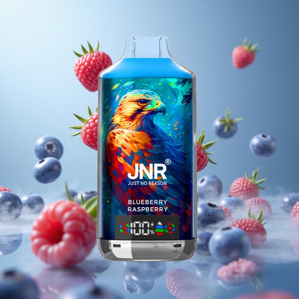 JNR Falcon X 18000 Puffs 24ml 750mAh Dual Mesh Blueberry Raspberry Type-C