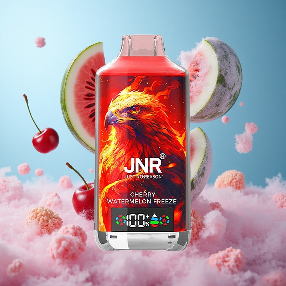 JNR Falcon X 18000 Puffs Cherry Watermelon Freeze Dual Mesh Dual Core Type-C 750mAh 24ml 0%/2%/5% Nicotine
