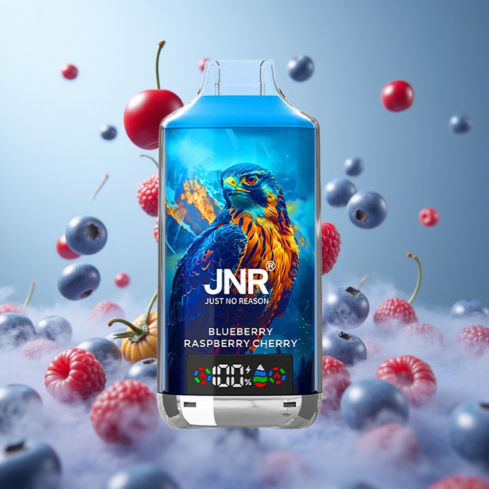 JNR Falcon X 18000 Puffs Dual Mesh Coil 24ml Blueberry Raspberry Cherry 750mAh Type-C Quick Charge
