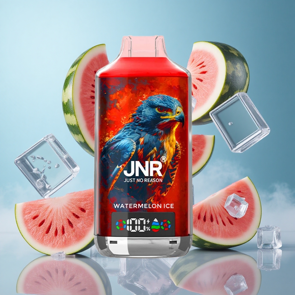 JNR Falcon X 18000 Puffs Dual Mesh Coil Digital Display Watermelon Ice Type-C Quick Charge
