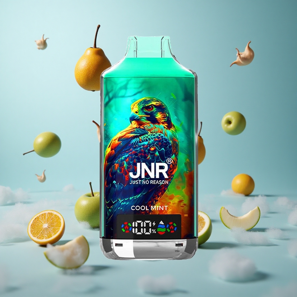 JNR Falcon X 18000 Puffs Dual Mesh Core Cool Mint 750mAh 24ml Type-C Digital Display
