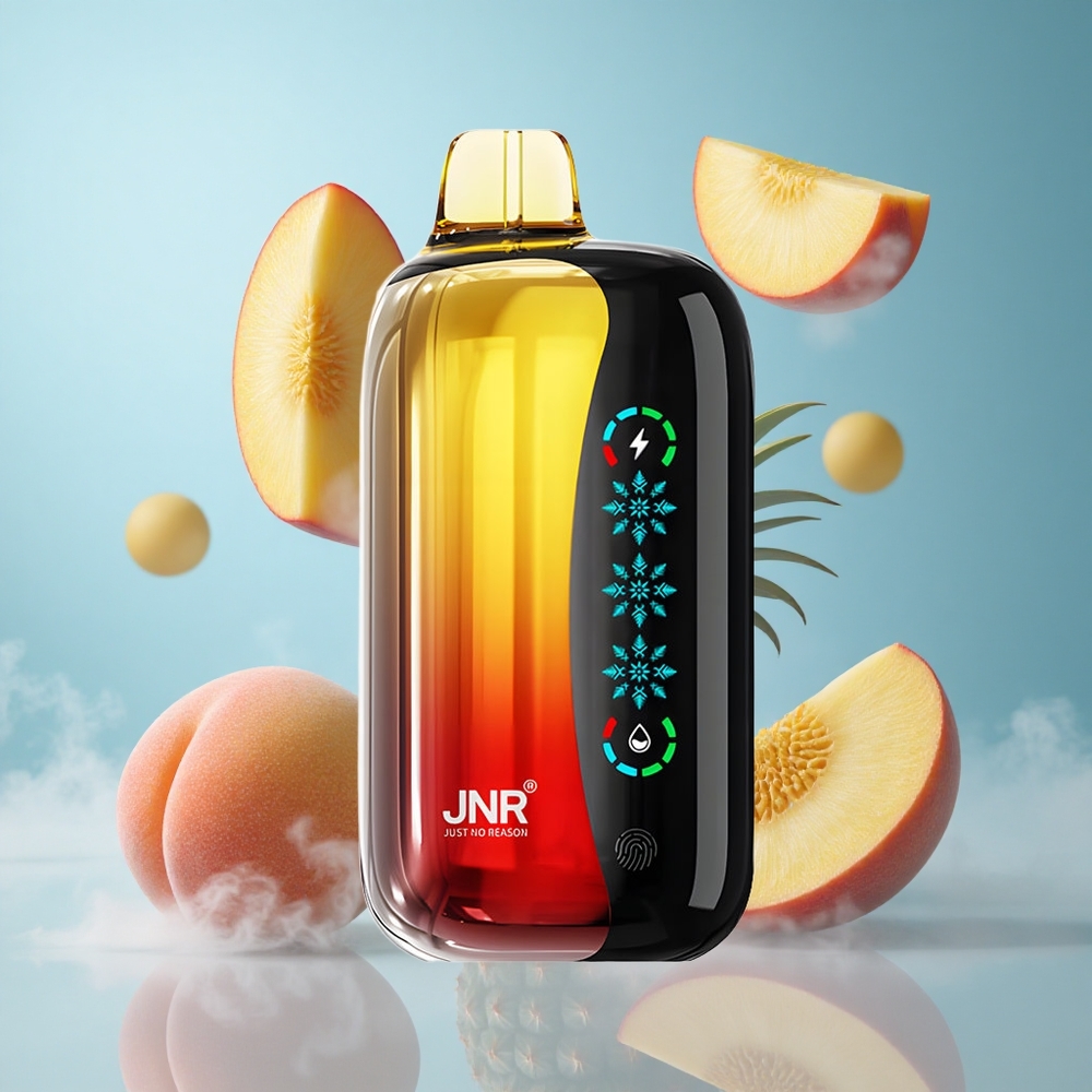 JNR Flex Ice 21000 Puffs Peach Mango Pineapple 26ml 1.2 Ohm Dual Mesh 1000mAh Type-C