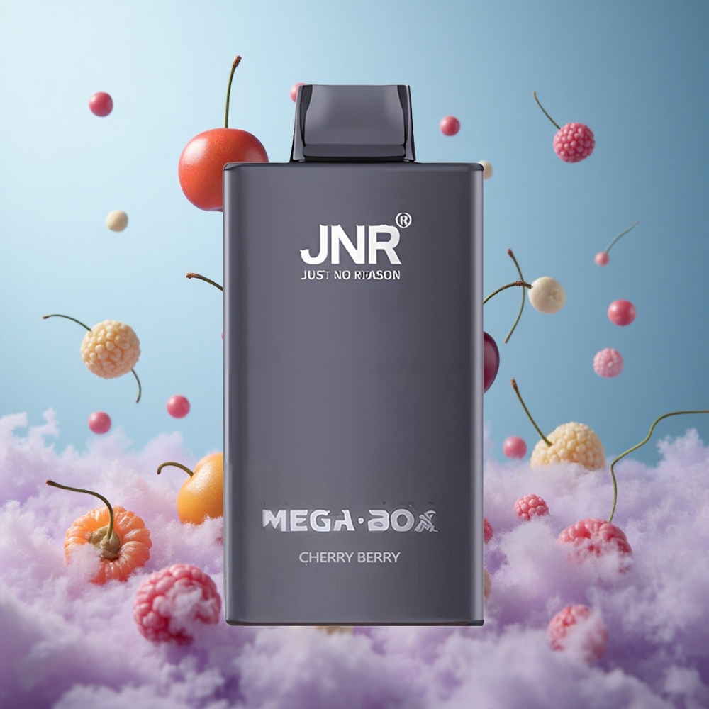 JNR Mega Box 25000 Puffs 30ml 850mAh Dual Mesh Cherry Berry Disposable Vape
