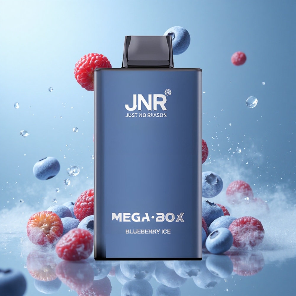 JNR Mega Box 25000 Puffs Disposable Vape Blueberry Ice 30ml Dual Mesh Coil Type-C