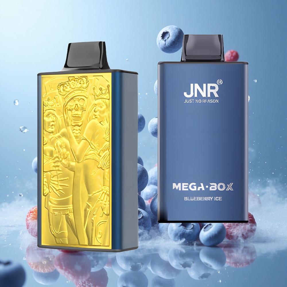 JNR Mega Box 25000 Puffs Disposable Vape Blueberry Ice 30ml Dual Mesh Coil Type-C