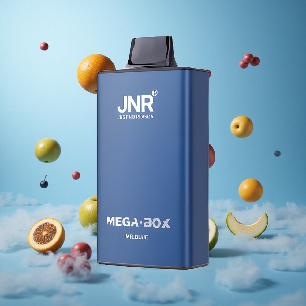 JNR Mega Box 25000 Puffs Dual Mesh Core Disposable Vape Mr Blue