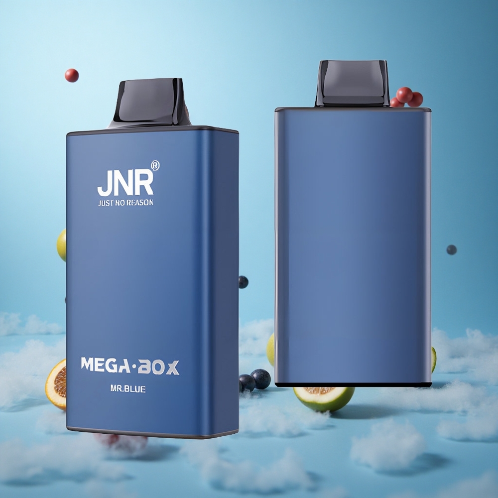 JNR Mega Box 25000 Puffs Dual Mesh Core Disposable Vape Mr Blue