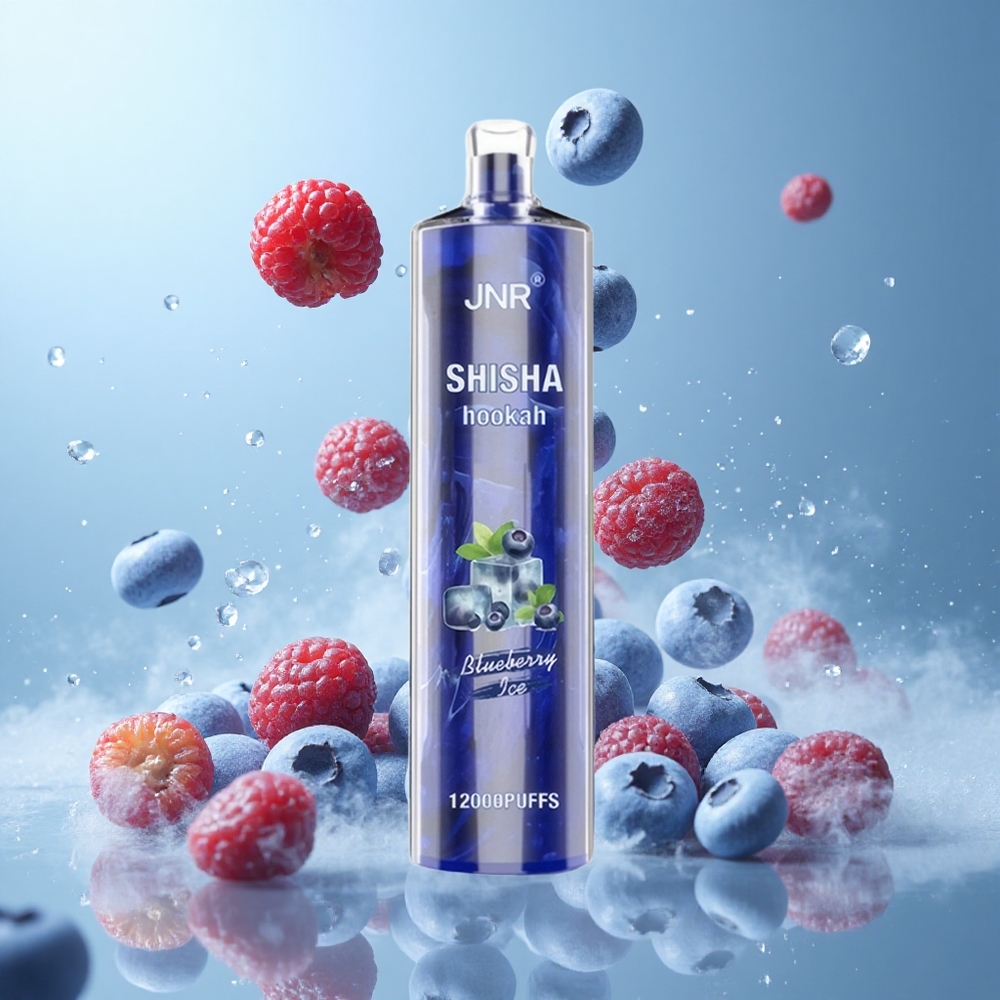 JNR Shisha Hookah 12000 Puffs Blueberry Ice 24ml 750mAh Type-C Fast Charging