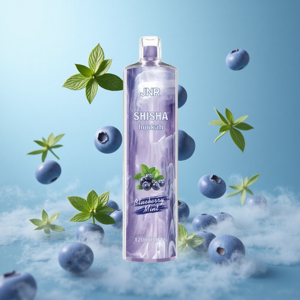 JNR Shisha Hookah 12000 Puffs Blueberry Mint 24ml 750mAh 0.6 Ohm Type-C