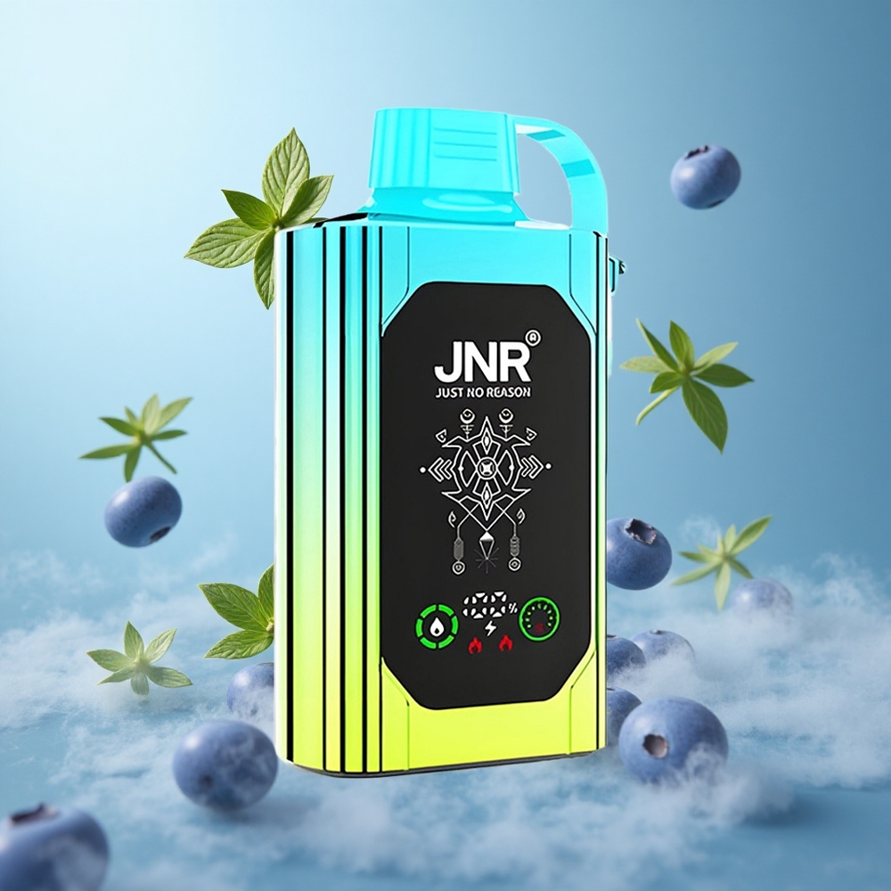 JNR Shisha Hookah Box 20500 Puffs 25ml HD Display Dual Mesh Coil Type-C Blueberry Mint