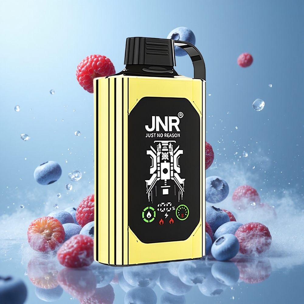 JNR Shisha Hookah Box 20500 Puffs HD Display Dual Mesh Coil Type-C Quick Charge Blueberry Ice