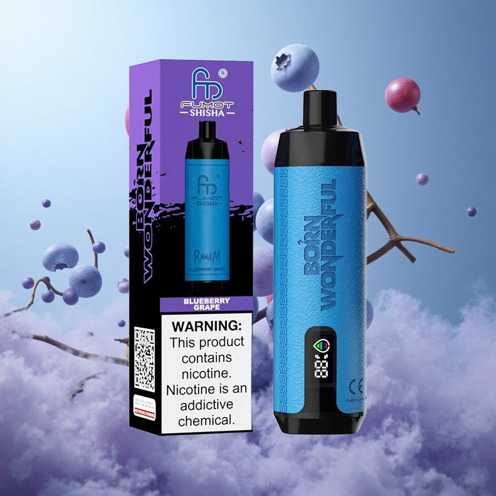 RandM Fumot Shisha 10000 Puffs Blueberry Grape Disposable Vape 18ml 850mAh Type-C