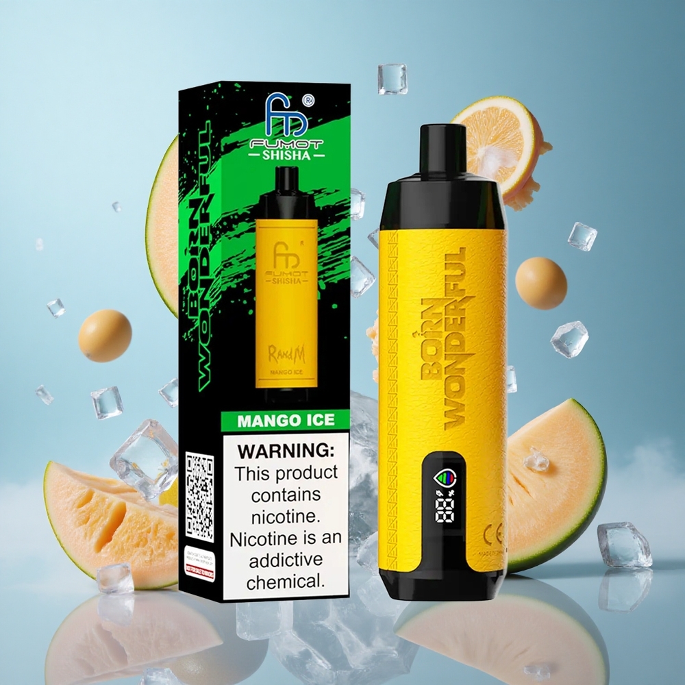 RandM Fumot Shisha 10000 Puffs Mango Ice Disposable Vape LED 18ml 850mAh Type-C