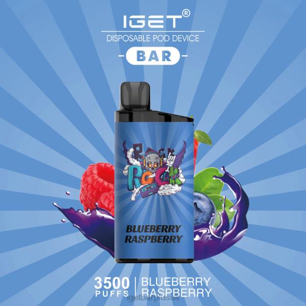 Blueberry Raspberry Ice